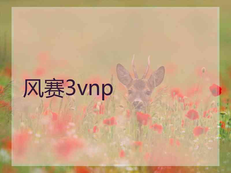 风赛3vnp