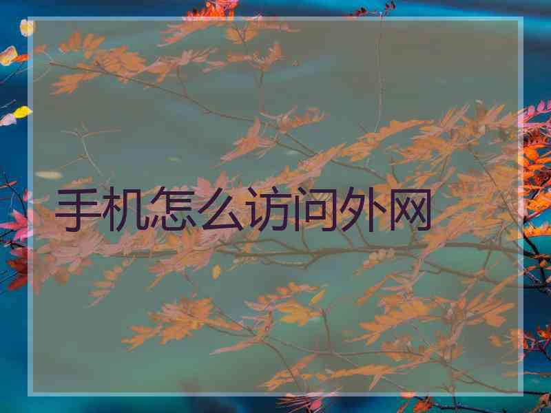 手机怎么访问外网