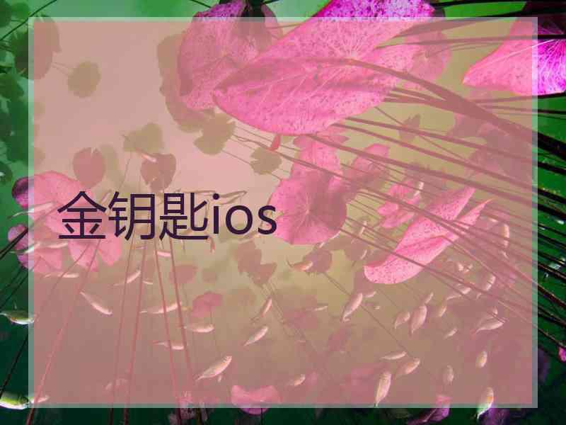 金钥匙ios