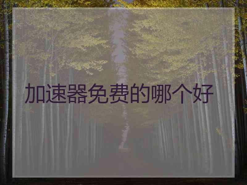 加速器免费的哪个好