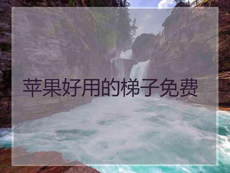 苹果好用的梯子免费