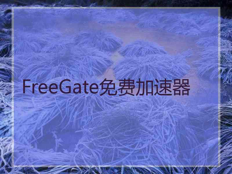 FreeGate免费加速器