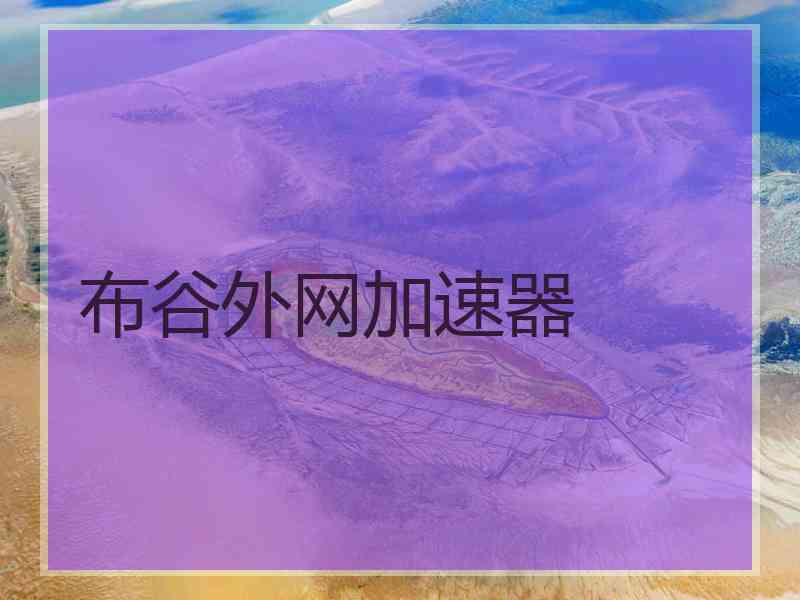 布谷外网加速器
