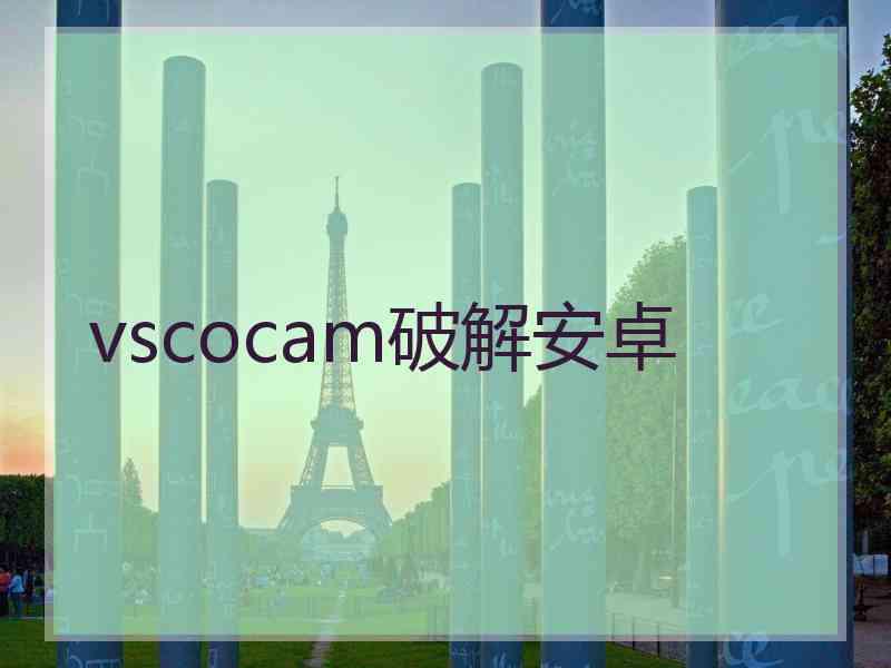 vscocam破解安卓
