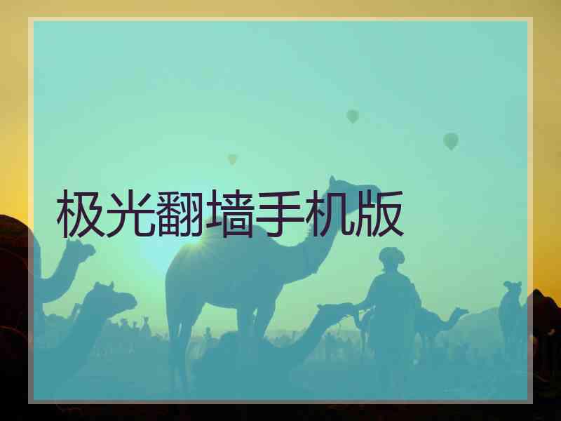 极光翻墙手机版