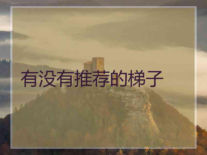 有没有推荐的梯子