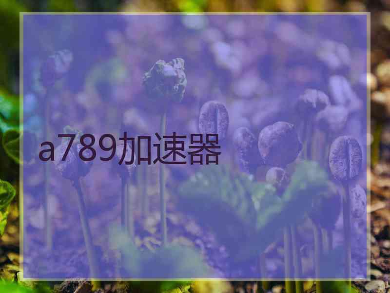 a789加速器