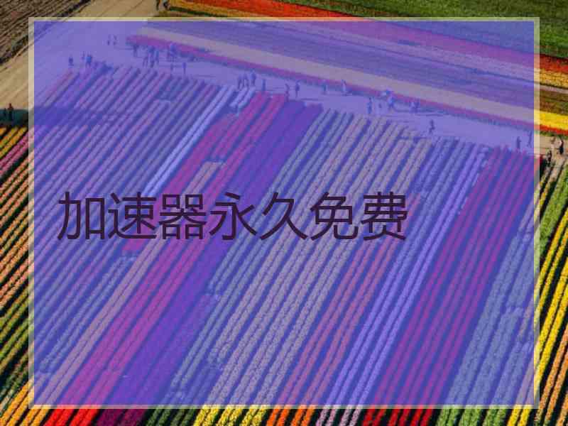 加速器永久免费